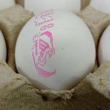 تخم مرغ دانه ای سیمرغ