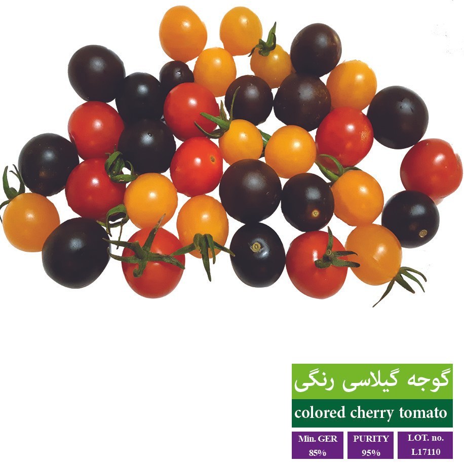گوجه گیلاسی آرنگ -400گرم